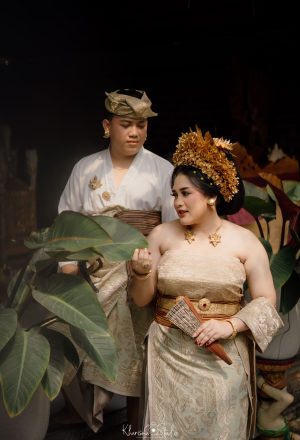 DEWO & NOVI